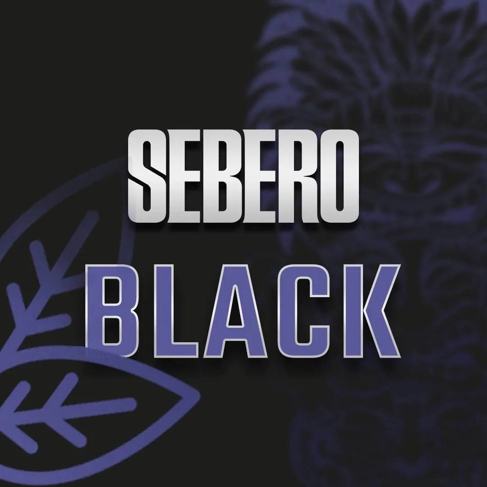 Табачная смесь для кальяна Sebero Black 100 гр