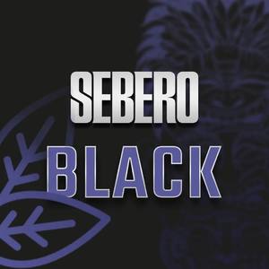 Табачная смесь для кальяна Sebero Black 100 гр