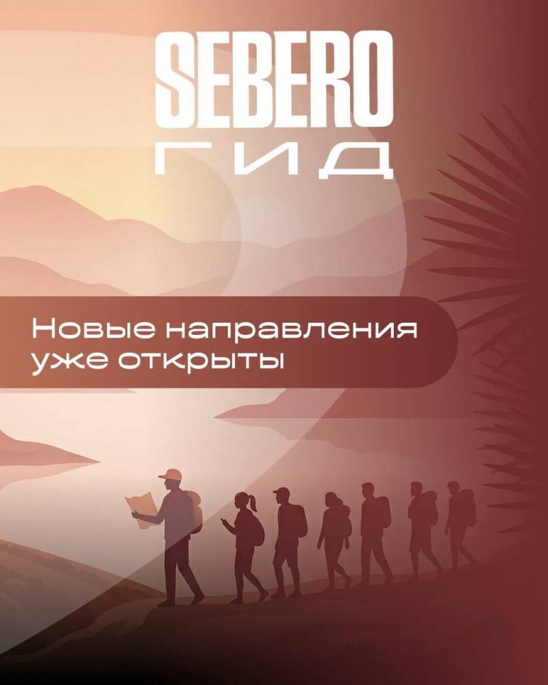 Табачная смесь для кальяна Sebero Gid 100 гр